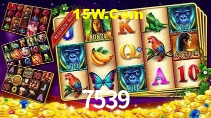 7539 Salvador - Promo Stats