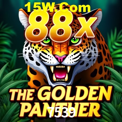 7539 Rio de Janeiro - Bonus Terms